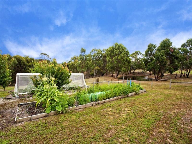 200 Sheoaks-Steiglitz Road, She Oaks VIC 3331