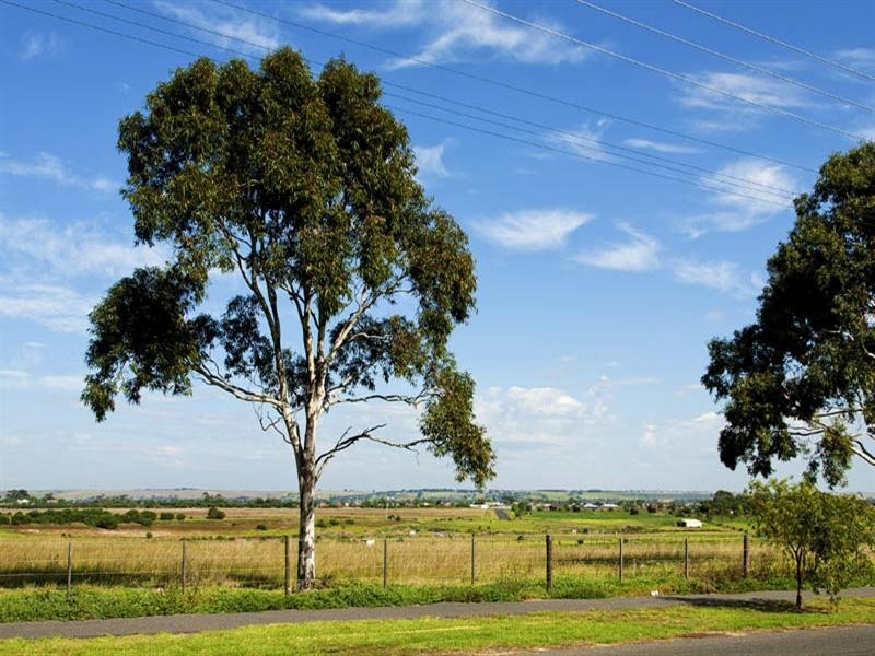 135 Rennie Street, Lara VIC 3212