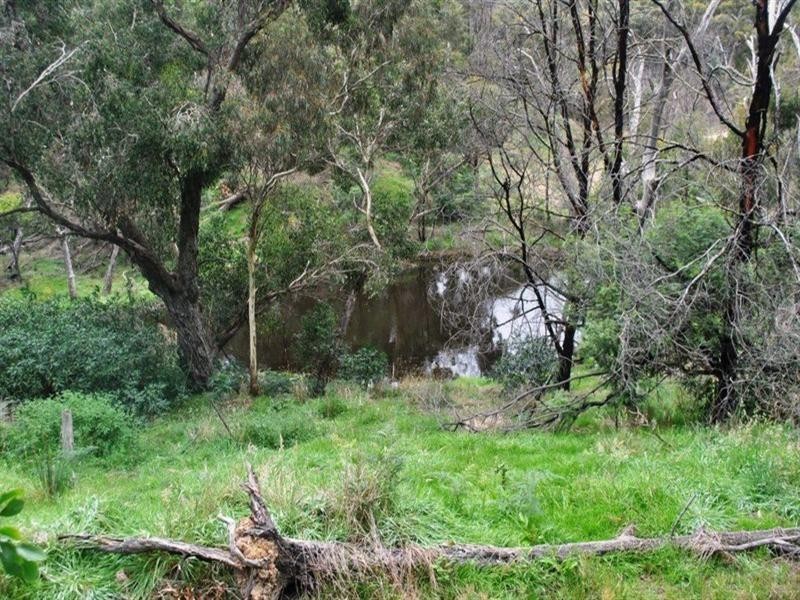 315 South Steiglitz Road, Steiglitz VIC 3331