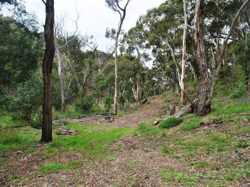 315 South Steiglitz Road, Steiglitz VIC 3331