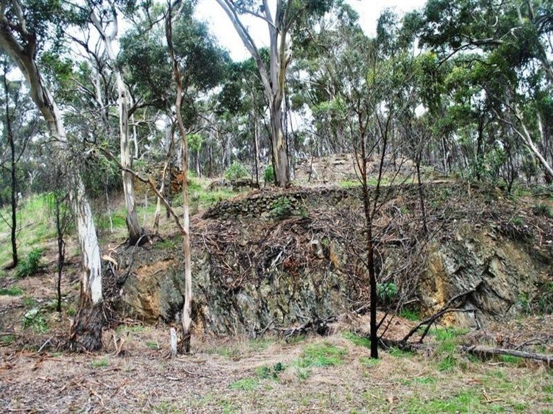 315 South Steiglitz Road, Steiglitz VIC 3331