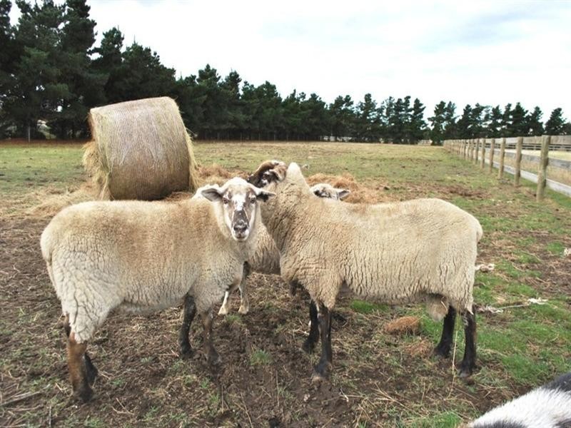 120 Perkins Road, Lara VIC 3212