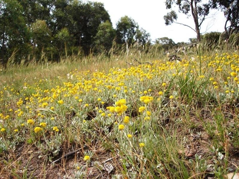 370 Taylors Road, Meredith VIC 3333