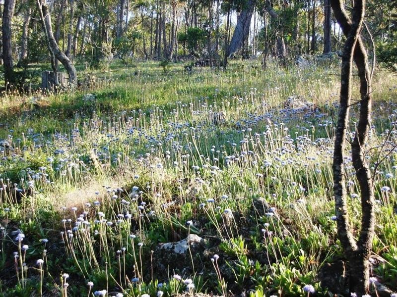 370 Taylors Road, Meredith VIC 3333