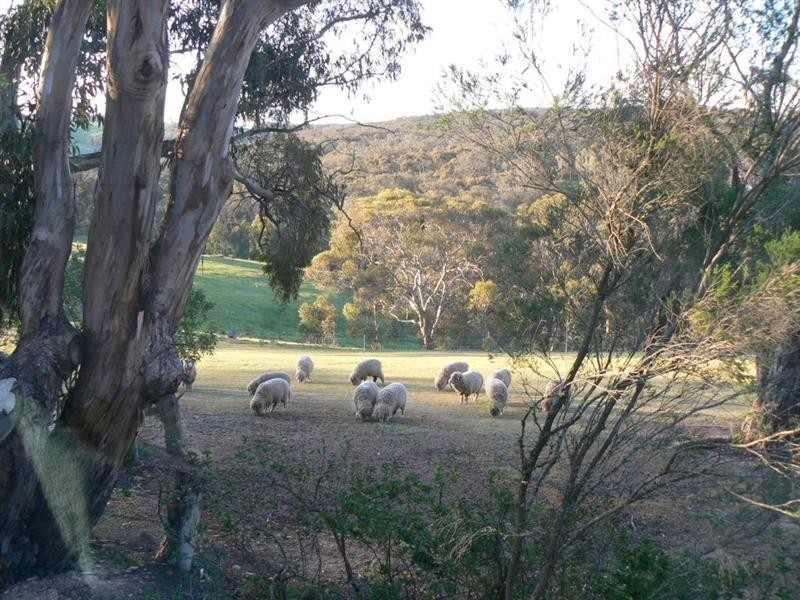 370 Taylors Road, Meredith VIC 3333