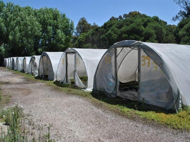 15 Constantine Drive, Lara VIC 3212