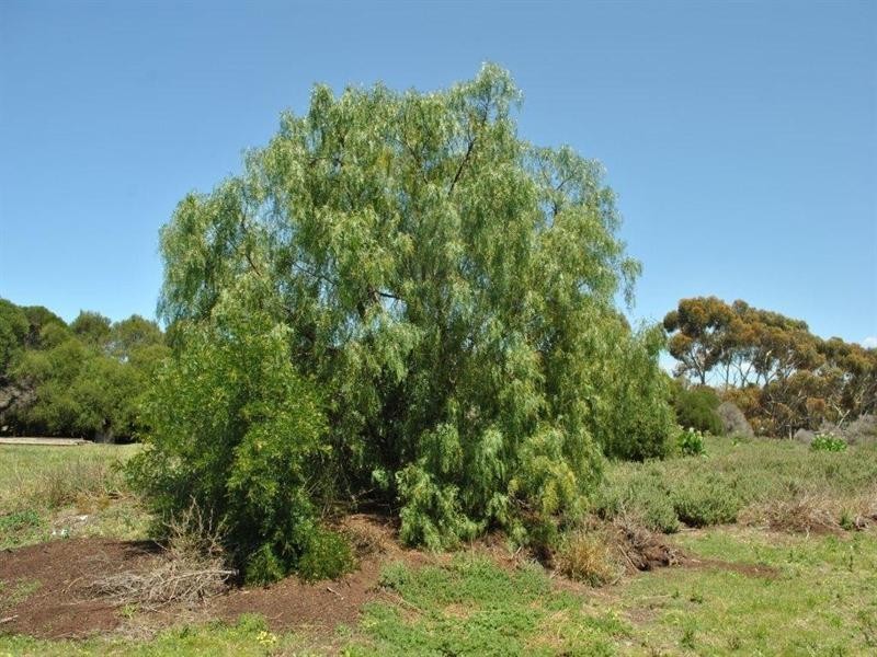 15 Constantine Drive, Lara VIC 3212