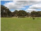 Lot 7 2134 Ballan Road, Anakie VIC 3221