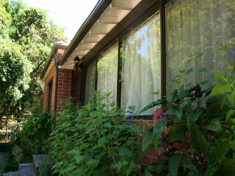 431 Pacific Highway, Asquith NSW 2077