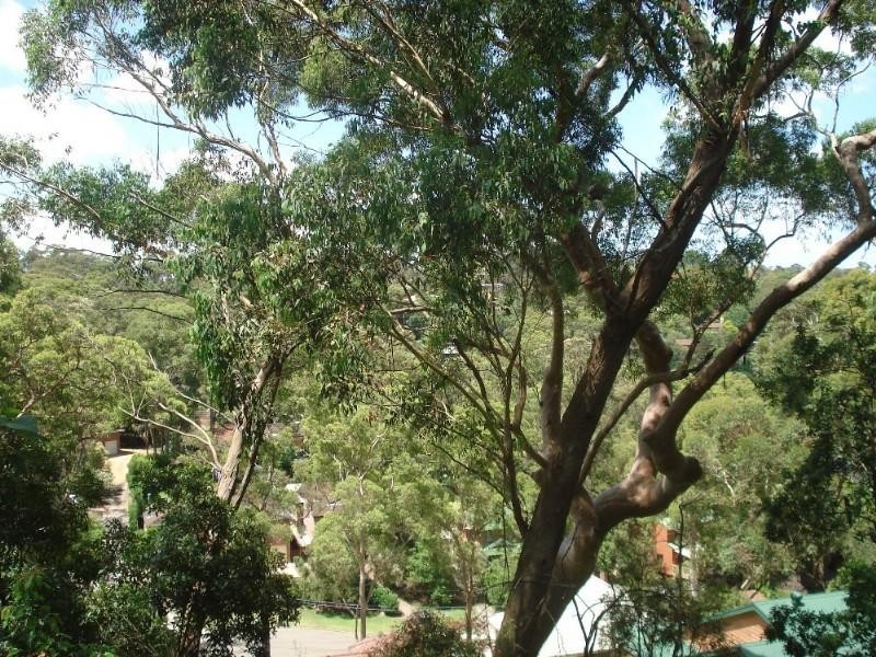 21 Heaney Close, Mount Colah NSW 2079