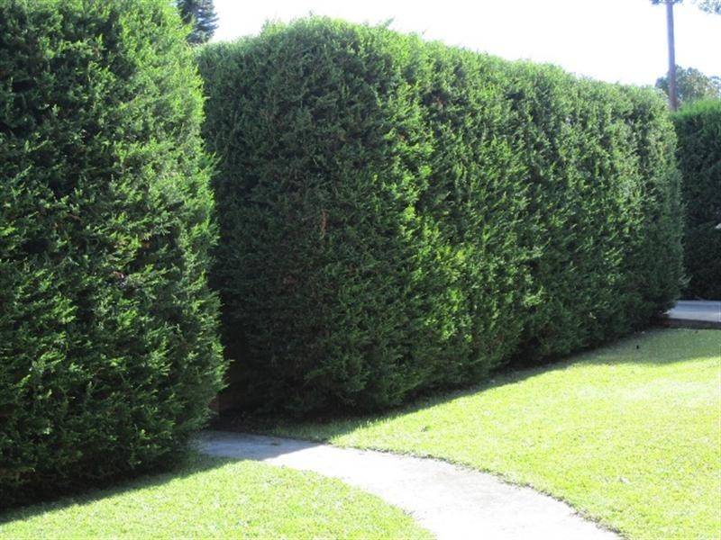 526 Pacific Highway, Mount Colah NSW 2079