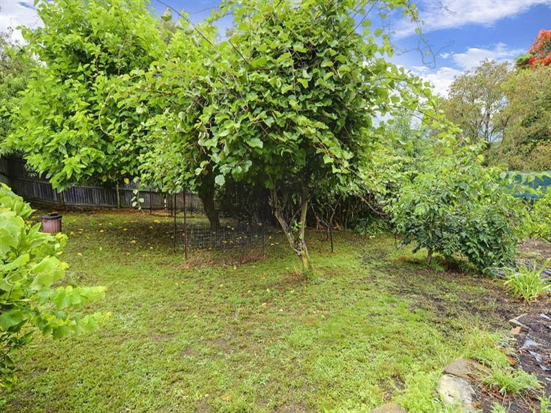 3 Brisbane Avenue, Mount Kuring-gai NSW 2080