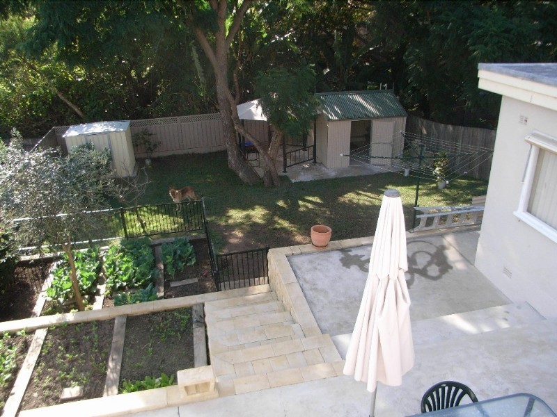 12 Daisy Avenue, Penshurst NSW 2222