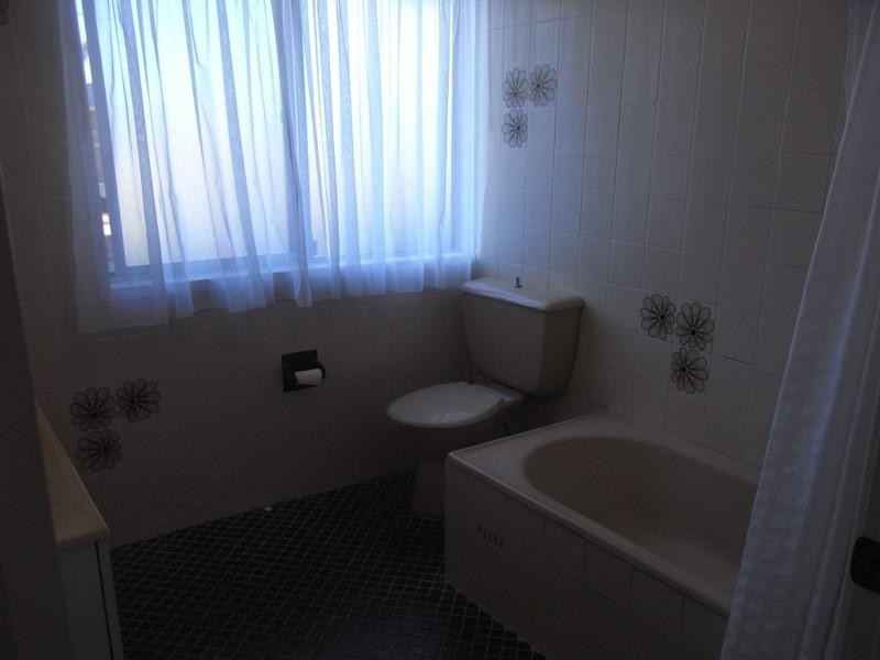 76 Botany Street, Carlton NSW 2218