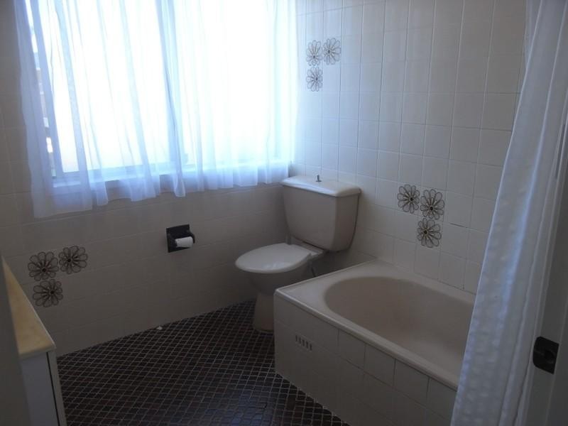 76 Botany Street, Carlton NSW 2218