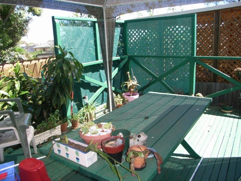 59 Penshurst Road, Penshurst NSW 2222