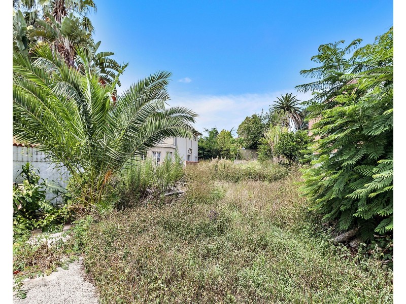 65 Beaconsfield Street, Bexley NSW 2207