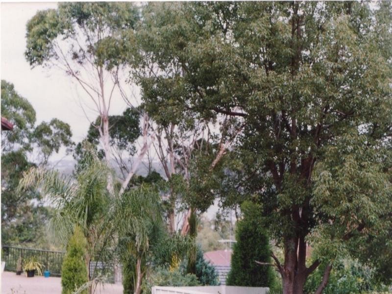 232 Connells Point Road, Connells Point NSW 2221