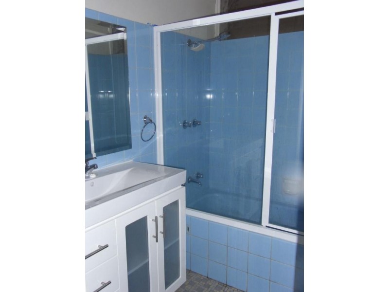 29 Andover Street, Carlton NSW 2218