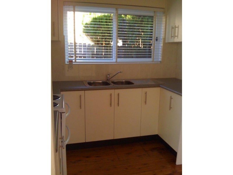 56 Coveney Street, Bexley North NSW 2207