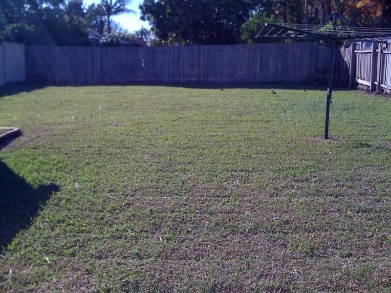 56 Coveney Street, Bexley North NSW 2207