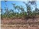 47 Honeysuckle Road, Herbert NT 0836