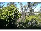 49 Riverview Terrace, Indooroopilly QLD 4068
