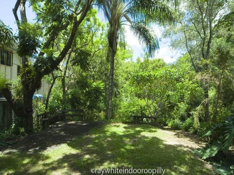 6 Rankin Street, Indooroopilly QLD 4068