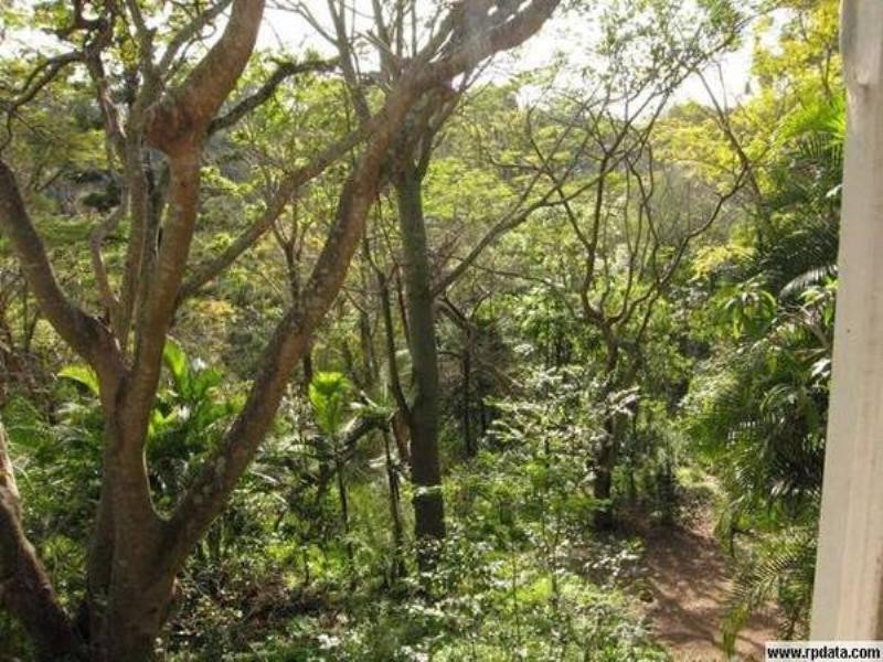 45 Burbong Street, Chapel Hill QLD 4069