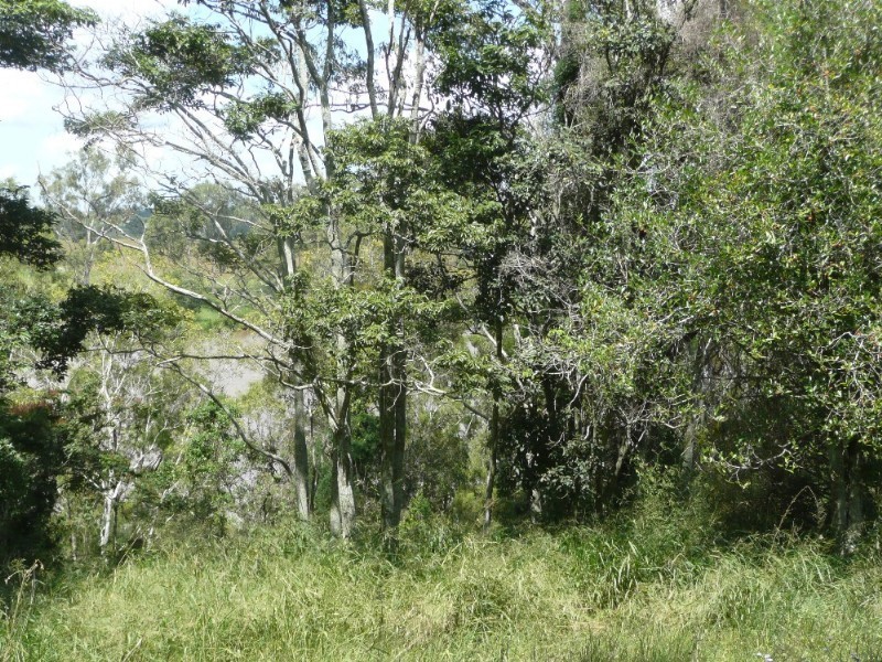 121 Ellerby Road, Moggill QLD 4070