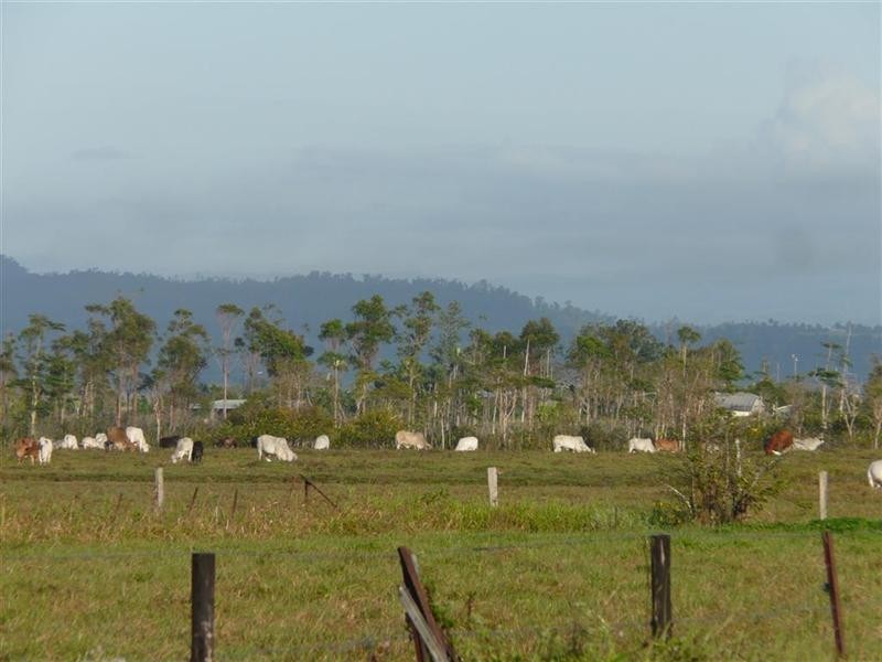 28  (69a) Etty Bay Road, Etty Bay QLD 4858