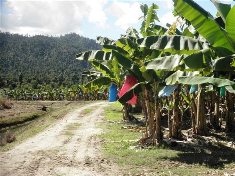 82 WARRAKIN, Japoonvale QLD 4856