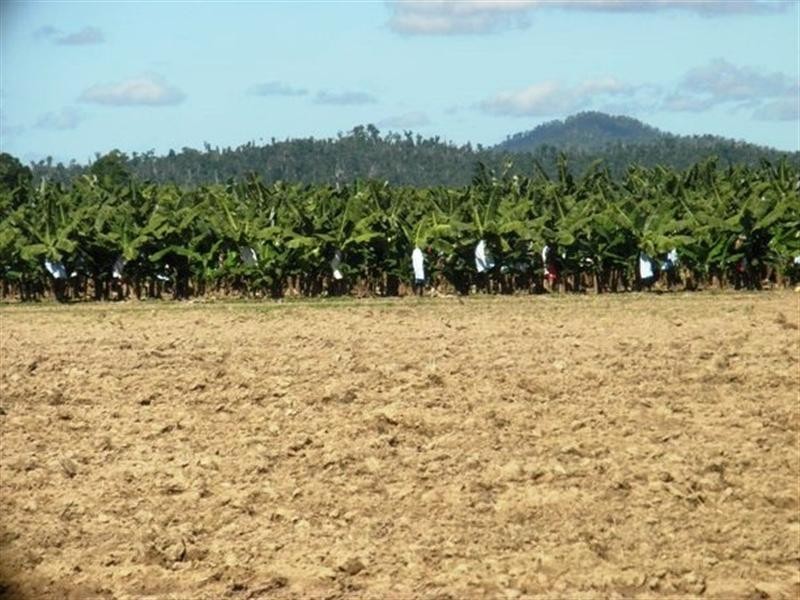 82 WARRAKIN, Japoonvale QLD 4856