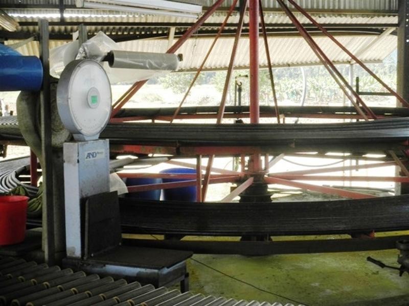 82 WARRAKIN, Japoonvale QLD 4856