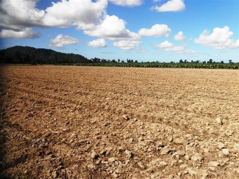 82 WARRAKIN, Japoonvale QLD 4856