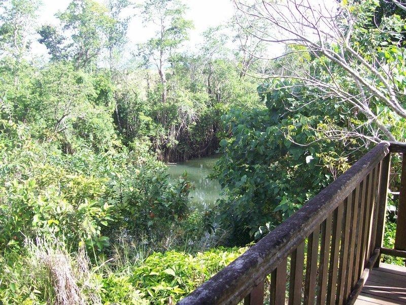 12 Kookaburra Close, Innisfail QLD 4860