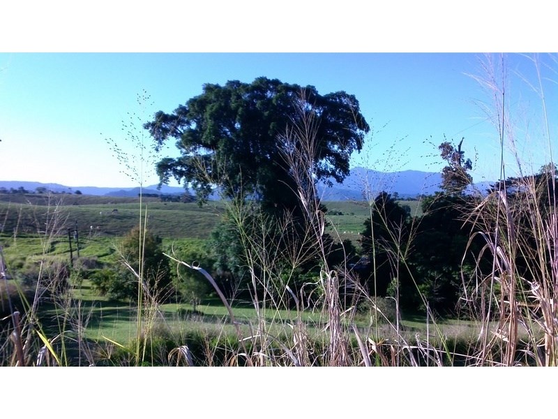 1964F Palmerston Highway, East Palmerston QLD 4860