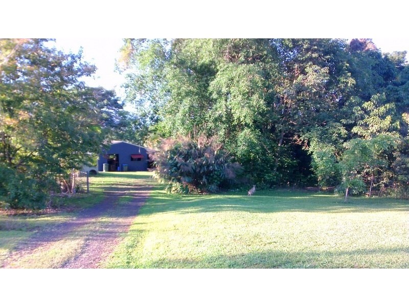 1964F Palmerston Highway, East Palmerston QLD 4860