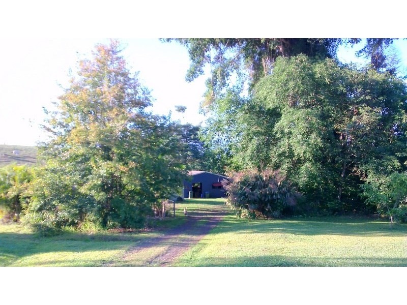 1964F Palmerston Highway, East Palmerston QLD 4860