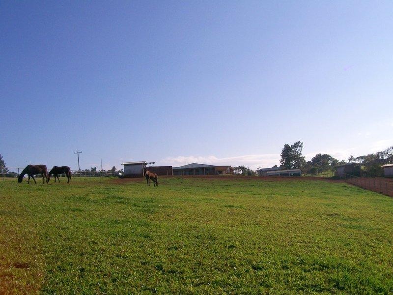 6 and 8 Olga Close, Pin Gin Hill QLD 4860