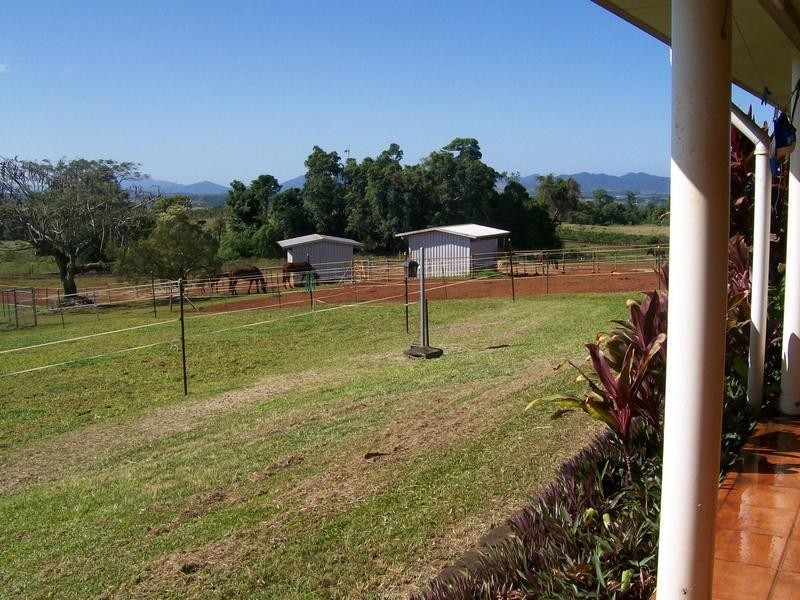 6 and 8 Olga Close, Pin Gin Hill QLD 4860