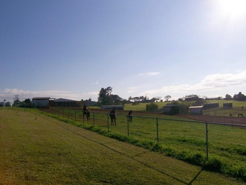 6 and 8 Olga Close, Pin Gin Hill QLD 4860