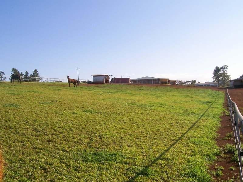 6 and 8 Olga Close, Pin Gin Hill QLD 4860