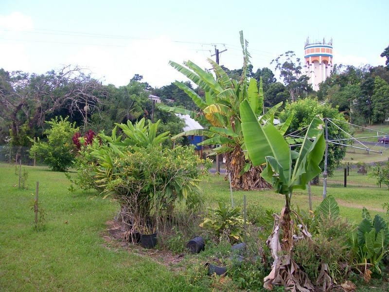 7 Bartle Street, East Innisfail QLD 4860