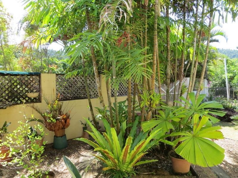 22 Feldt Street, Flying Fish Point QLD 4860