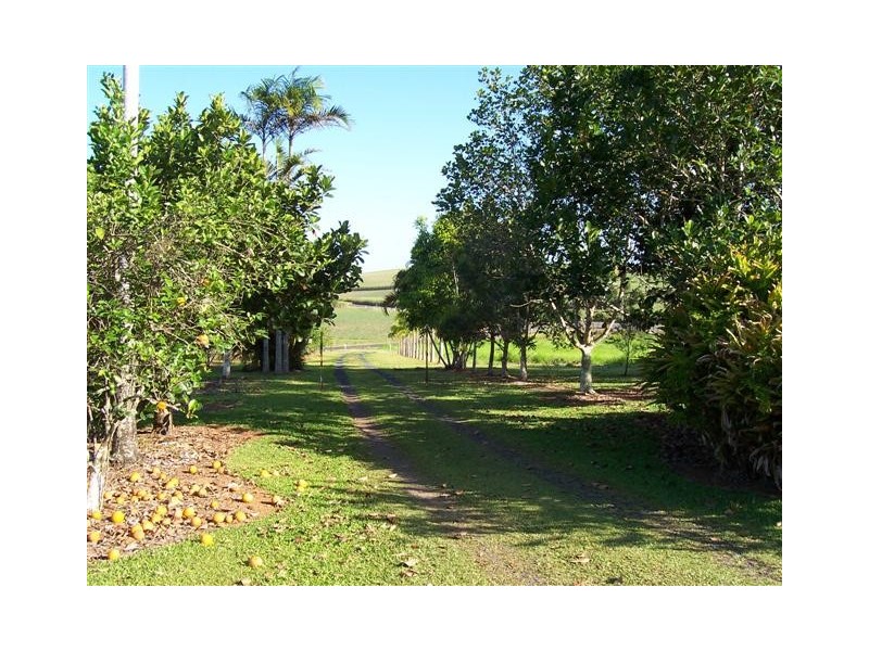 9 Jogo Road, Innisfail QLD 4860