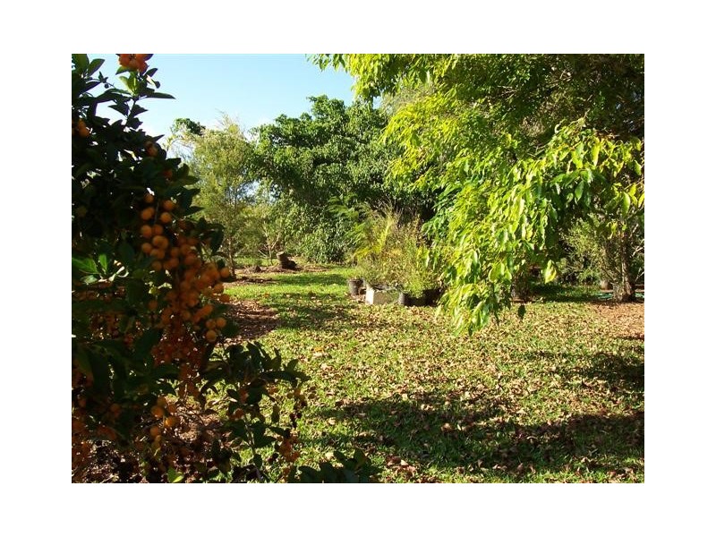 9 Jogo Road, Innisfail QLD 4860