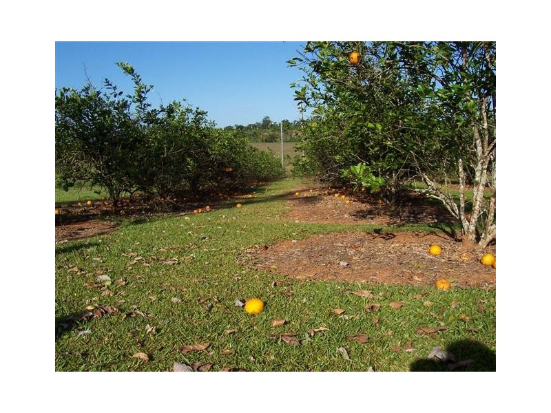 9 Jogo Road, Innisfail QLD 4860