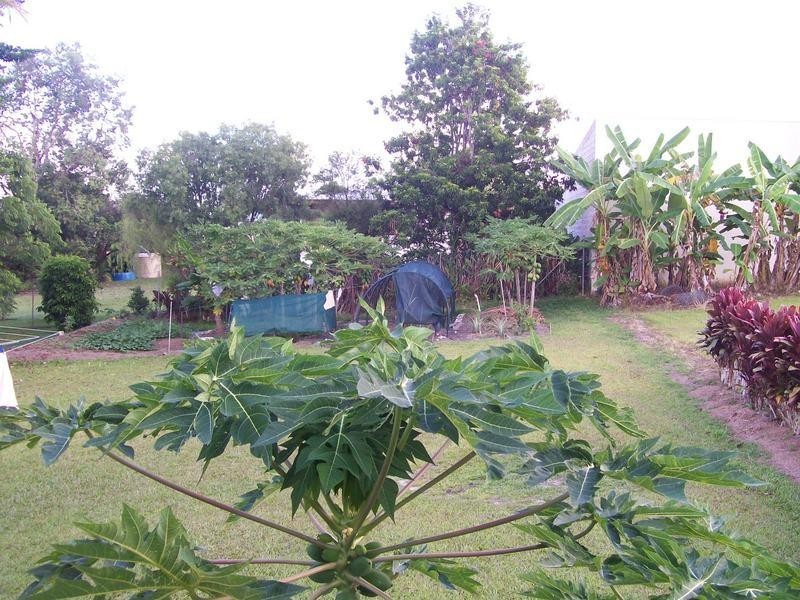 5 Walnut Street, Innisfail QLD 4860