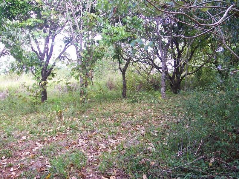 34 Dinner Creek Road, Garradunga QLD 4860